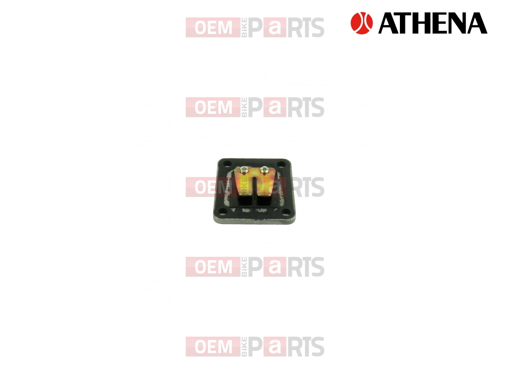 Intake Reed Valves