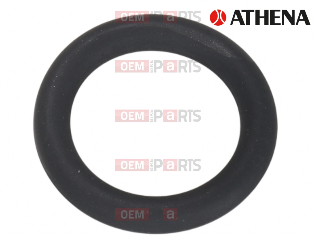 O-Ring (Viton) (9,00x2)