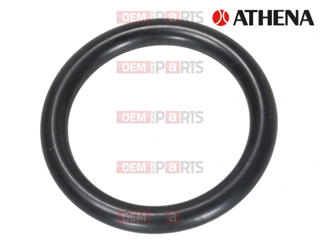 O-Ring (17,13x2,62)