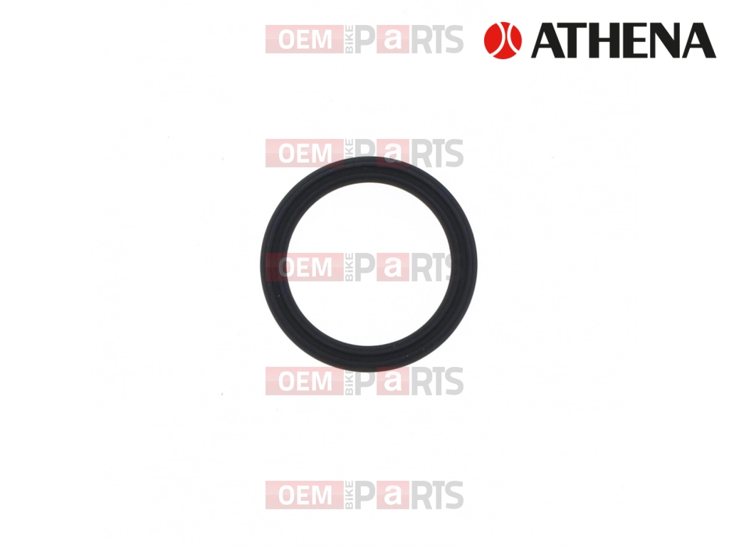 Spark Plug Hole Gasket
