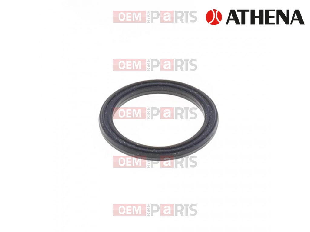 Spark Plug Hole Gasket
