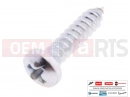 PIAGGIO 20 pc - 008457 - Vis