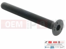 PIAGGIO X9 250 Evolution 1B006376 - Vis