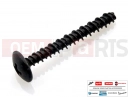 PIAGGIO Fly 50 2T 20 pc - 478533 - Vis