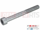 MOTOGUZZI Eldorado 1400 ABS AP8150045 - Vis