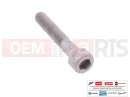 MOTOGUZZI Eldorado 1400 ABS 10 pc - AP8150285 - Vis