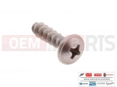 derbi Rambla 300 AP8150413 - Vis