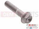 MOTOGUZZI V85 TT E5+ (EU) AP8152281 - Vis