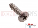 derbi Rambla 300 AP8152329 - Vis