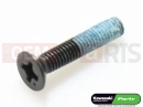 KAWASAKI 2013 5 PC - 92172-0183 - Schraube (3x16)