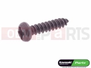 KAWASAKI 2014 92172-0343 - SCREW,TAPPING,2.9X13