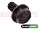 KAWASAKI 2013 5 PC - 130BB-0612 - Schraube