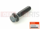 HONDA NSC110MPDC NSC110MPD 2012 96001-060-2507 - Schraube
