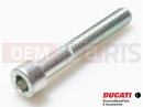 DUCATI 2014 Monster 796 ABS 5 pc - 77150738B - Vis