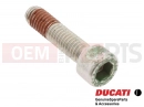 DUCATI 2009 Multistrada 1100 5 pc - 77110518B - Vis