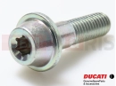 DUCATI 2014 HYPERSTRADA 77916763AA - Vis (spec)
