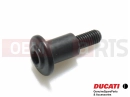 DUCATI 2013 HYPERSTRADA 77211271A - Vis (spec)