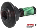 DUCATI 2021 Multistrada 950 77210941C - Vis