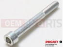 DUCATI 2014 HYPERSTRADA 77154458B - Vis