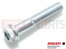 DUCATI 2017 Multistrada 950 2 pc - 77156718B - Vis