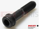 DUCATI 2012 Diavel 2 pc - 77157283B - Vis