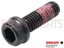 DUCATI 2021 Monster 821 2 pc - 77110401B - Vis