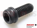 DUCATI 2016 Diavel 77156643B - Vis