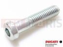 DUCATI 2012 Monster 1100 EVO ABS 5 pc - 77355068B - Vis