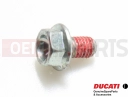 DUCATI 2007 Multistrada 1100 2 pc - 77210461B - Vis