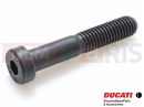DUCATI 2018 Diavel Carbon 77351303B - Vis