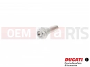 DUCATI 2007 Multistrada 1100 5 pc - 77251018B - Vis
