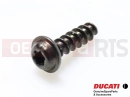 DUCATI 2016 Hyperstrada 939 5 pc - 77440111A - Vis
