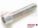 DUCATI 2021 Multistrada V4 77150708B - Vis