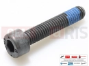 PIAGGIO Fly 125 10 pc - 1A003115 - Vis