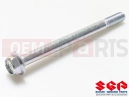 SUZUKI RM250 D (1983) 09103-08070 - Schraube (8x100)