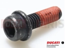 DUCATI 2024 DesertX 77140663CD - Vis