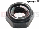 Triumph 2015 THUNDERBIRD COMMANDER T2046521 - Nut, Pivot Bolt