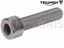 Triumph 2021 SCRAMBLER 1200 XC T3050324 - Screw, Cap/Hd, M8 x 1.25 x 35,
