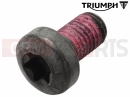 Triumph 2021 SCRAMBLER 1200 XC T3053005 - Schraube (M7x12)