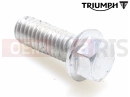 Triumph 2015 THUNDERBIRD COMMANDER T3205064 - Vis