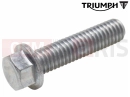 Triumph 2010 THUNDERBIRD T3205067 - Vis