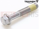 Triumph 2021 SCRAMBLER 1200 XC T3205082 - Bolt, HHF, Lghtd, M6 x 35, Enc