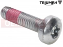 Triumph 2023 Rocket 3 R T3331041 - Screw, Pan/Hd, Tx, M6 x 25, En
