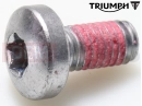Triumph 2023 Rocket 3 R T3331042 - Screw, Pan/Hd, Tx, M6 x 12, En