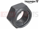 Triumph 2015 THUNDERBIRD COMMANDER T3350155 - Locknut, Thin, M16