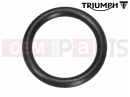 Triumph 2021 SCRAMBLER 1200 XC T3600163 - O Ring, ID 19x3.0