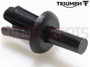 Triumph 2000 TT600 T3700120 - Rivet - panel fixing