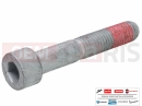 MOTOGUZZI V 85 TT e4 ABS 2019 (EMEA) 2B004798 - Vis