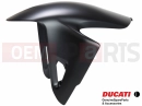 DUCATI 2021 Panigale V2 56416632AK - Front mudguard