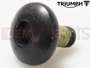 Triumph 2021 SCRAMBLER 1200 XC T3330958 - Screw, But/Hd, M5 x 10, Blk, Enc
